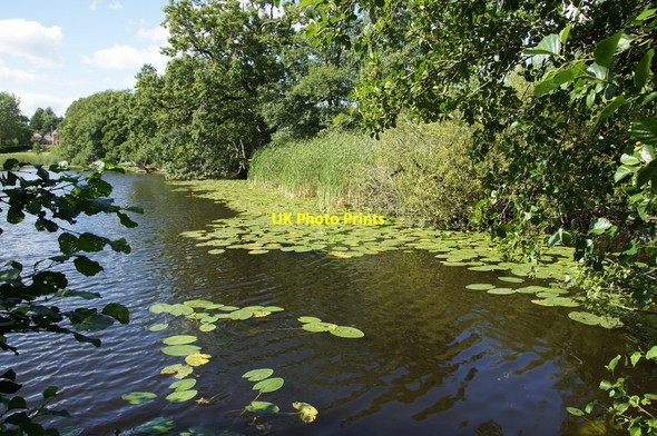Photo 6"x4" Ornamental pond at Nieuport House, Eardisley  Almeley c2014