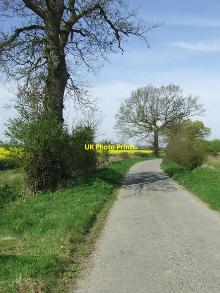 Photo 6"x4" Country Lane Dennington Hall c2014