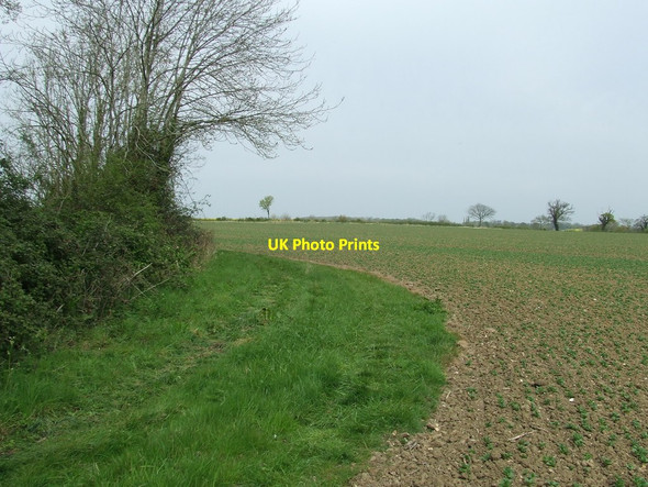 Photo 6"x4" Field Boundary Dennington Hall c2014