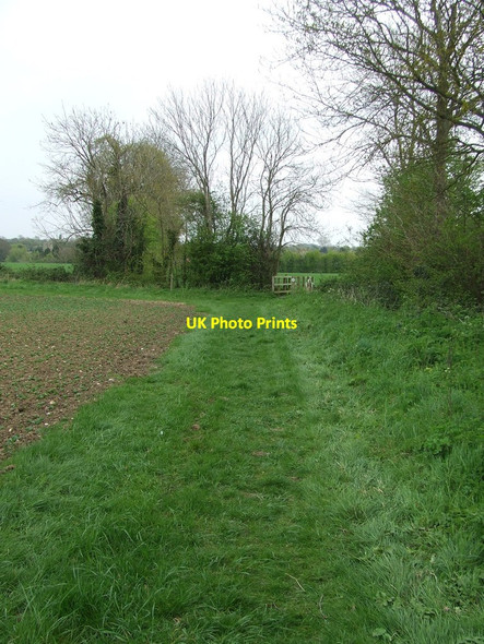 Photo 6"x4" Footpath And Footbridge Dennington Hall c2014