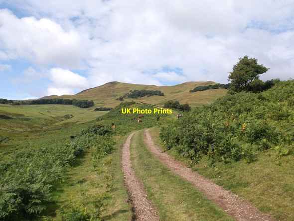 Photo 6"x4" To Turnhouse Woodhouselee c2014