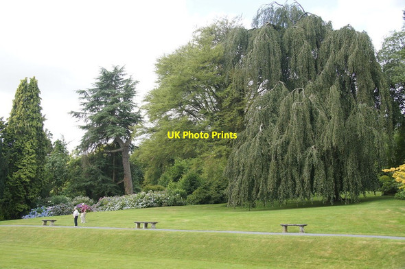 Photo 6"x4" Hergest Croft Gardens, Kington Kington\/SO2956 c2014