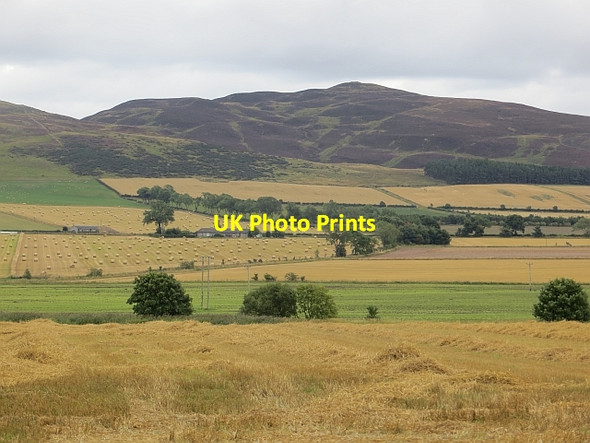 Photo 6"x4" Straw, Burngrange Burrelton c2013