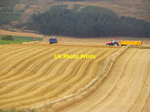 Photo 6"x4" Harvest, Kinnochtry Burrelton c2013
