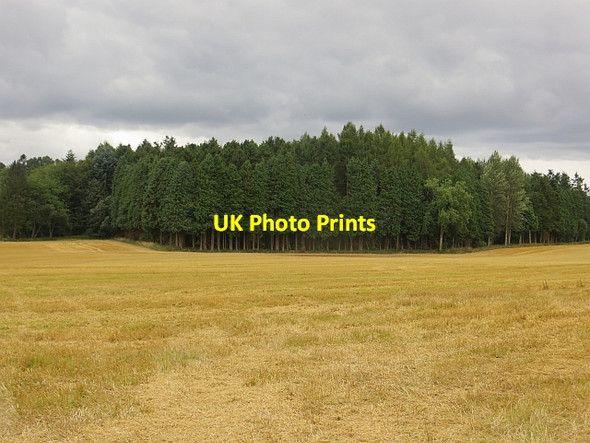 Photo 6"x4" Stubble and woodland Coupar Angus c2013
