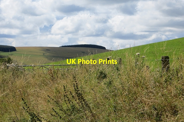 Photo 6"x4" Overgrown gateway, Brotherstone Gilston\/NT4456 c2014