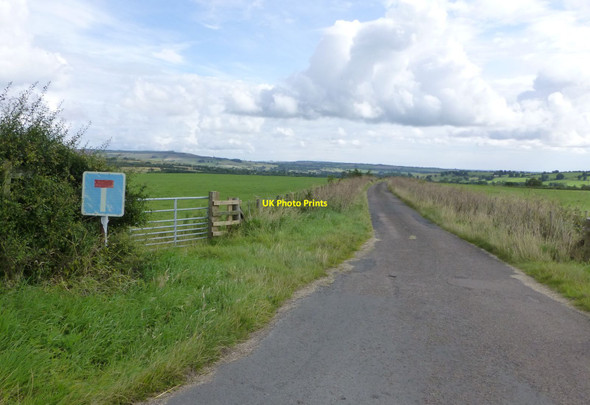 Photo 6"x4" Road to The Crook and The Lonning Forestburn Gate c2014