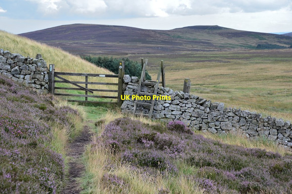 Photo 6"x4" Gate and ladder stile, St Cuthbert's Way Akeld c2014
