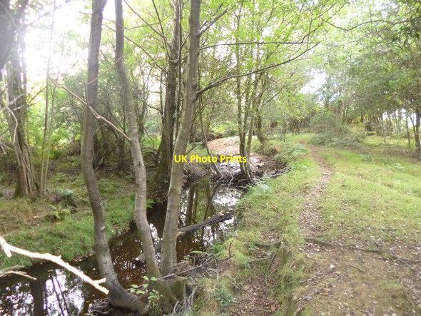 Photo 6"x4" Ogdens, Latchmore Brook Ogdens c2014