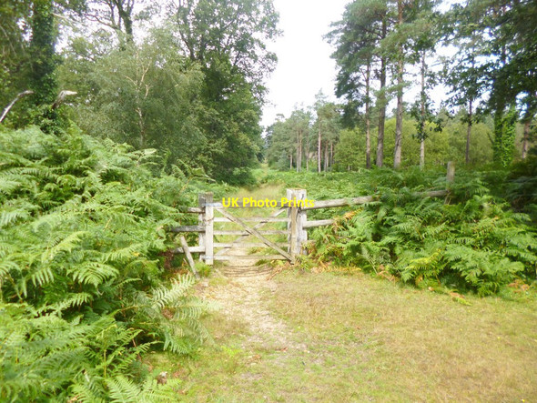 Photo 6"x4" Alderhill Inclosure, gate Ogdens c2014