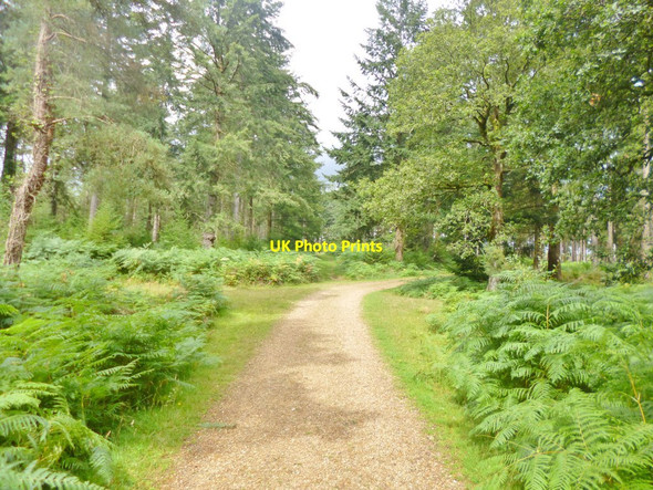 Photo 6"x4" Alderhill Inclosure, track junction Ogdens c2014