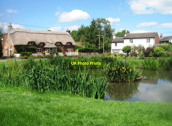 Photo 6"x4" High summer - Oakley village pond East Oakley c2014