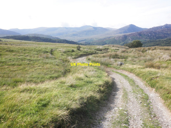 Photo 6"x4" Track to Pont Cyfyng Capel Curig c2014