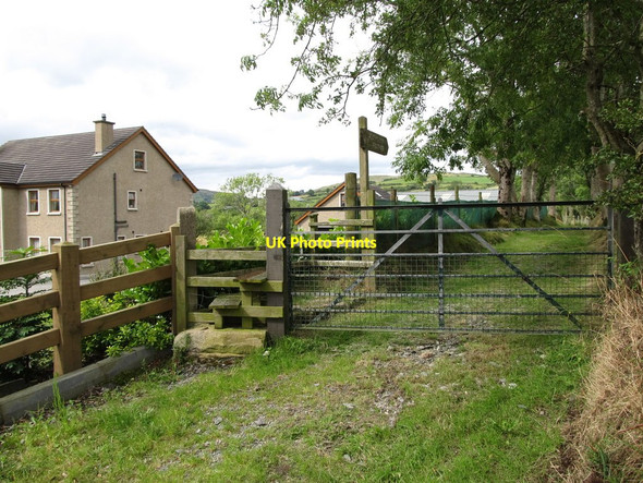 Photo 6"x4" The southern end of Adders Loanin Ballyward c2014