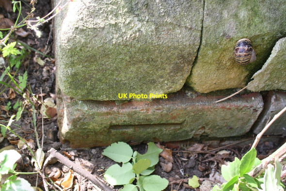 Photo 6"x4" Benchmark on St William of York Church Reading c2014