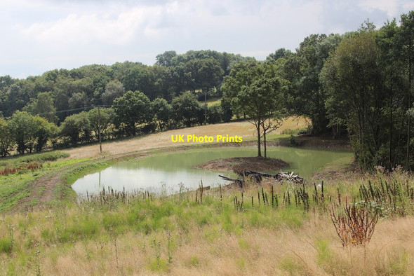 Photo 6"x4" New pond near Elmstone Hole Farm Boughton Malherbe c2014