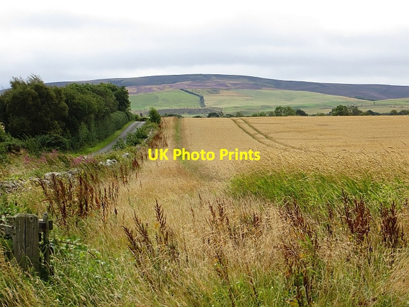 Photo 6"x4" Arable land, Woodhead Gifford c2014