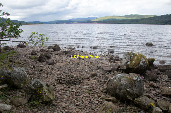 Photo 6"x4" South shore of Loch Rannoch at the Black Wood Killichonan c2014
