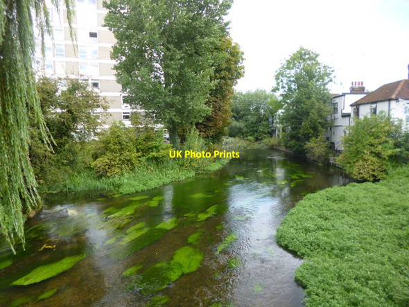 Photo 6"x4" Uxbridge, River Colne Uxbridge c2014