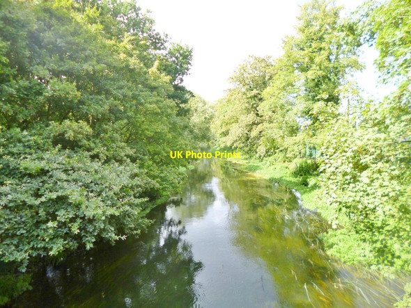 Photo 6"x4" Cowley, River Colne Uxbridge c2014