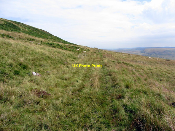 Photo 6"x4" Track below Carter Pike Whitelee\/NT7105 c2014