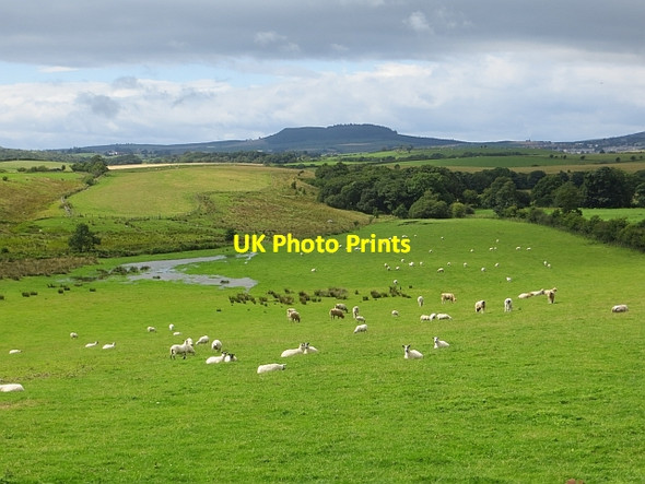 Photo 6"x4" Flooded ground near Barbrethan Crosshill\/NS3206 c2014
