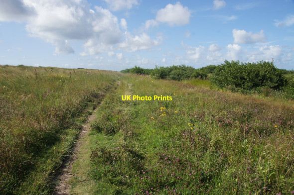 Photo 6"x4" Velvet Trail in Birkdale dunes Hillside\/SD3214 c2014