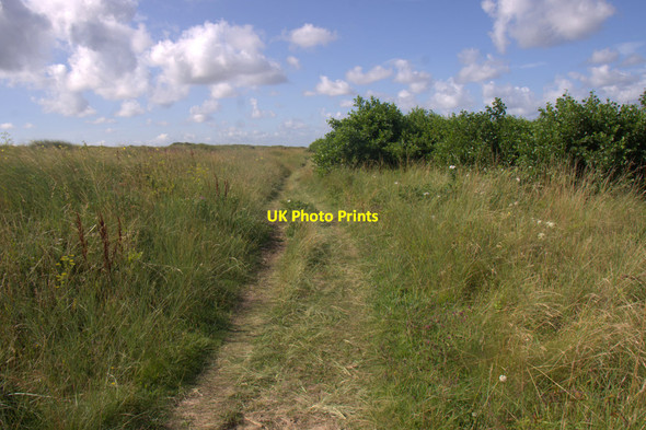 Photo 6"x4" Velvet Trail in the Birkdale dunes Hillside\/SD3214 c2014