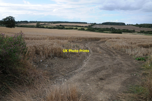 Photo 6"x4" Wheat field near Great Oakley Great Oakley\/SP8785 c2014