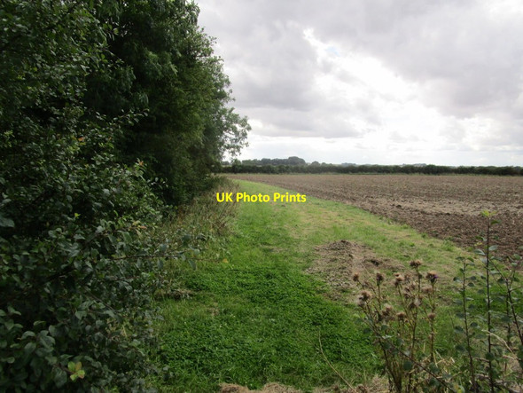 Photo 6"x4" Footpath alongside Brackenborough Wood Little Grimsby c2014