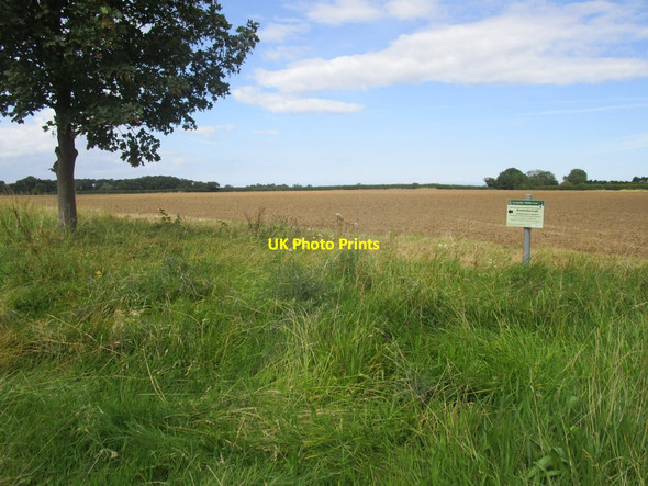 Photo 6"x4" Brackenborough Roadside Nature Reserve North End\/TF3592 c2014
