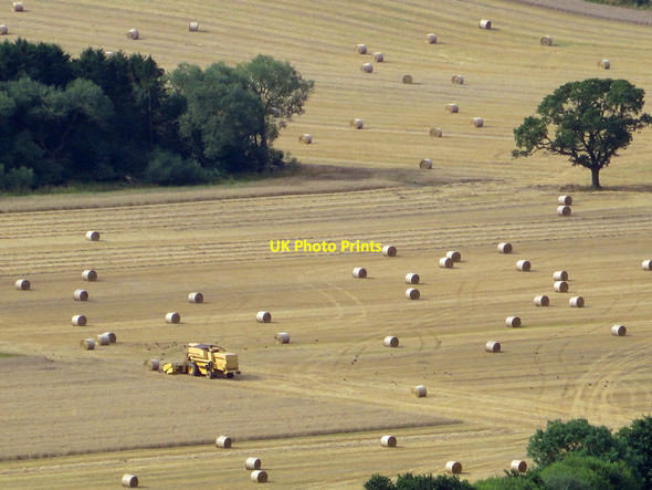 Photo 6"x4" Harvesting in the vale Sutton-under-Whitestonecliffe c2014