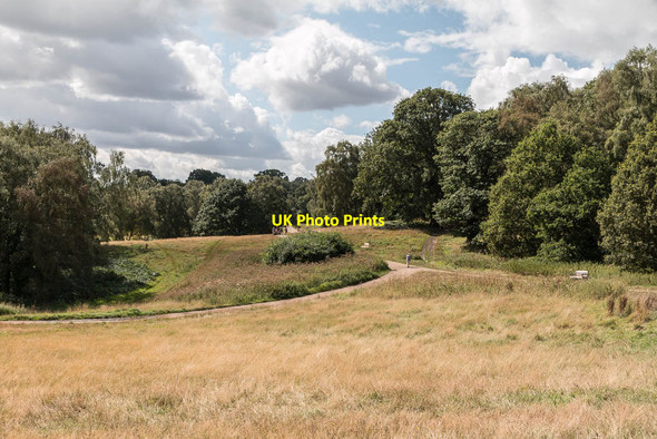 Photo 6"x4" Parkland, Kenwood, Hampstead, London NW3 Hampstead\/TQ2685 c2014