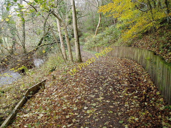 Photo 6"x4" Clyde Walkway Dalserf c2008