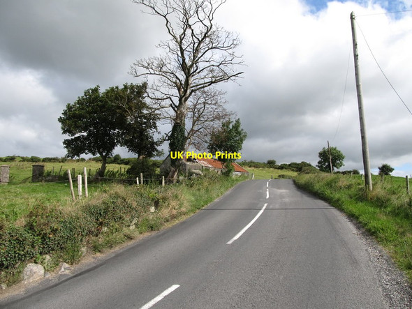 Photo 6"x4" Derelict tin-roofed cottage on Moneyslane Hill Ballyward c2014