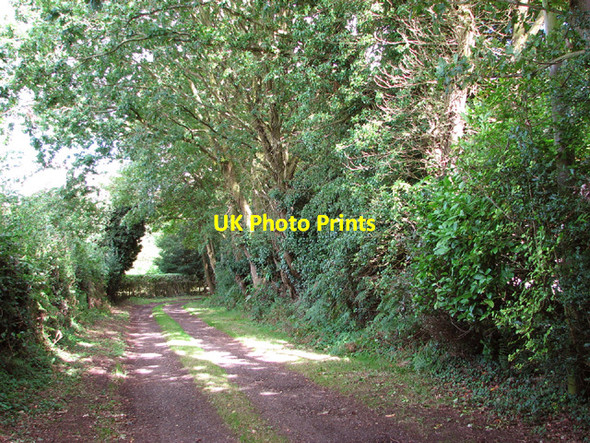 Photo 6"x4" A walk along Leach's Turn Surlingham c2014