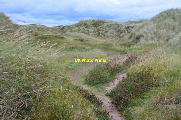 Photo 6"x4" Path in sand dunes, Holy Island Holy Island\/NU1241 c2014