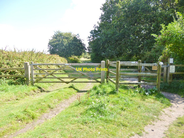 Photo 6"x4" Tadnoll, gates Tadnoll c2014