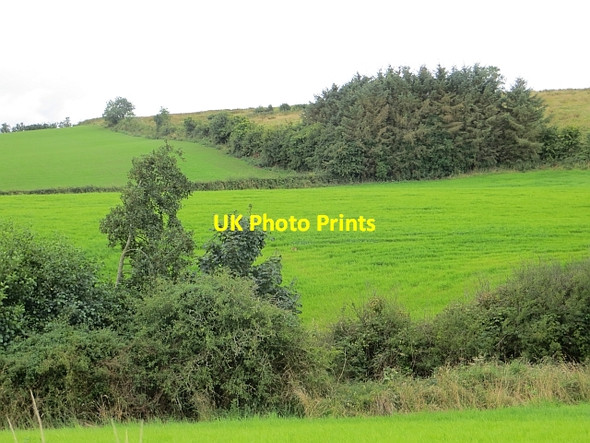 Photo 6"x4" Grass fields near Ayr Kincaidston c2014