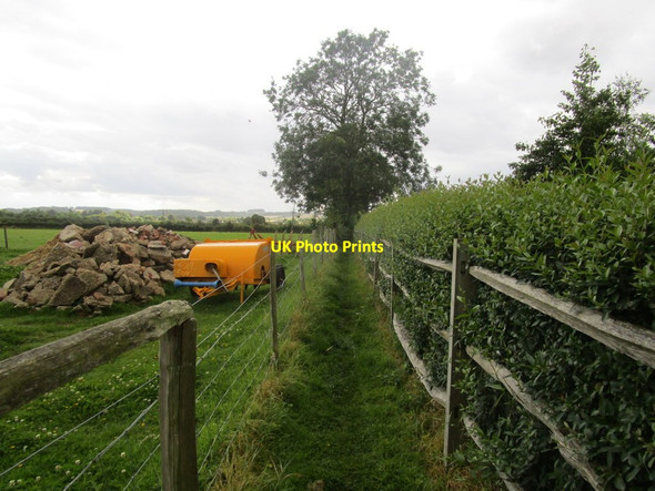 Photo 6"x4" Footpath at Hird's Farm Little Grimsby c2014