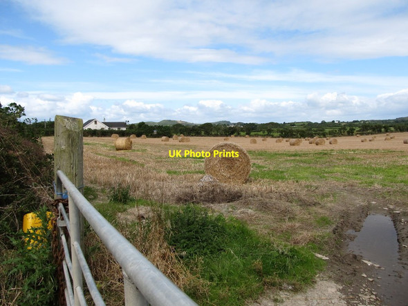 Photo 6"x4" Straw bales in a field bordering on the Ballyhornan Road Bishops Court\/J5642 c2014