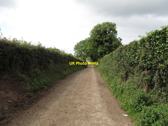 Photo 6"x4" View north-westwards along Ballysallagh Road Saul\/J5046 c2014