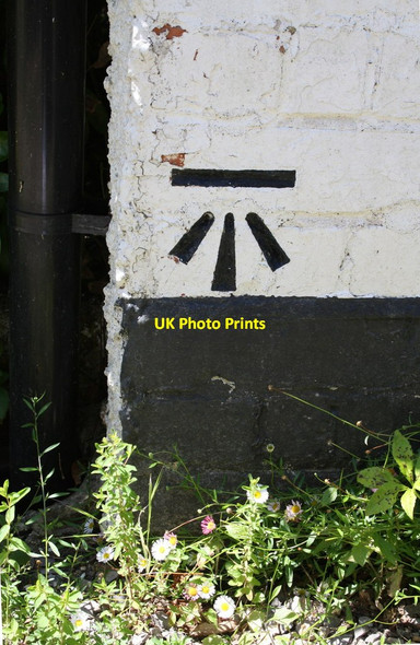 Photo 6"x4" Benchmark on 'Hillside', Brooker's Hill Great Lea Common c2014