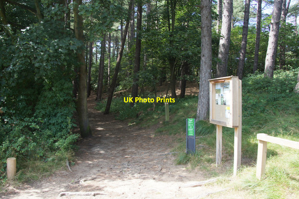 Photo 6"x4" Start of the Pinfold Path, Ainsdale Woodvale c2014