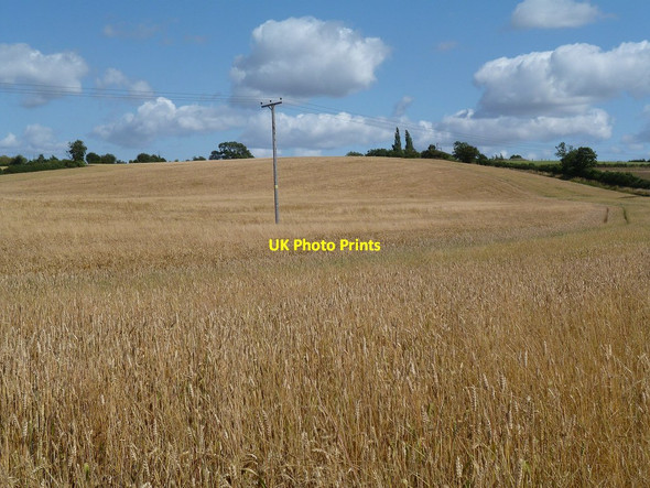 Photo 6"x4" Nethercote Farmland Nethercote\/SP5164 c2014