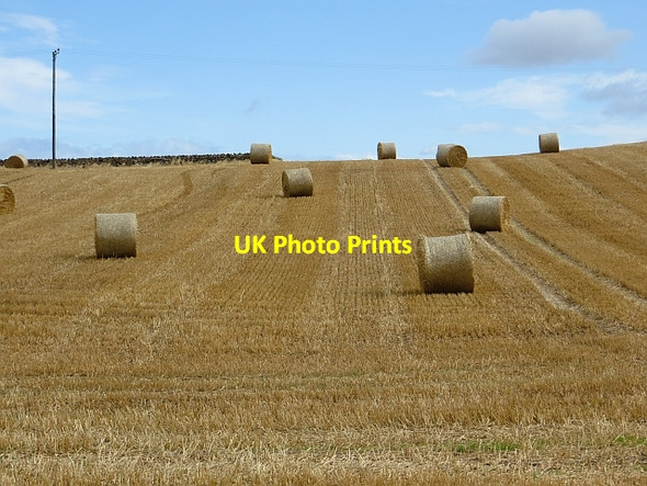 Photo 6"x4" Round bales, Forter Law Camptoun c2014