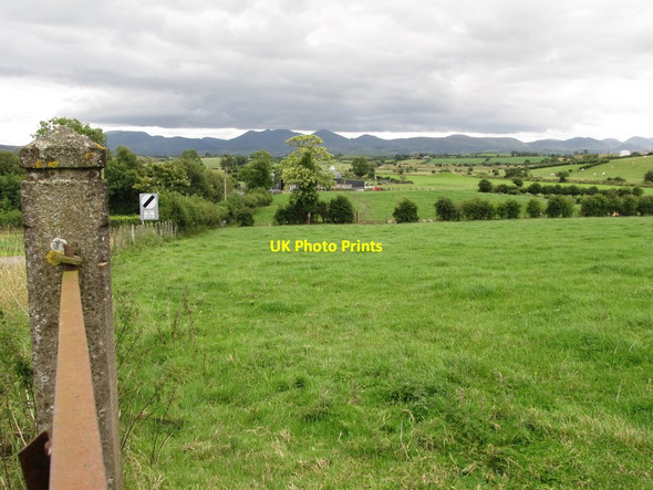 Photo 6"x4" Grazing land on the outskirts of Moneyslane Ballyroney c2014