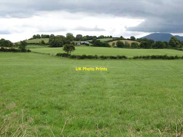 Photo 6"x4" Drumlins to the east of Moneyslane Ballyroney c2014