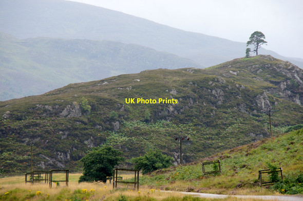 Photo 6"x4" Tom a' Mhein, Glen Strathfarrar Coille na Leitire Duibhe c2014