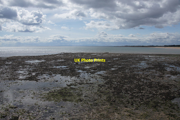 Photo 6"x4" Stony shore at the east end of the West Links, Arbroath Arbroath c2014